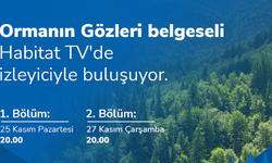 “Ormanın Gözleri” Belgeseli İzleyicilerle Buluşuyor