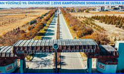 Van Yüzüncü Yıl Üniversitesi Öğretim Üyesi Alacak