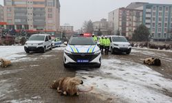 Afşin İlçe Emniyet Müdürlüğü 7 Yeni Araçla Güçlendi