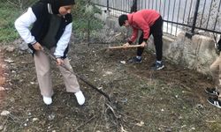 Bozyazı'da öğrenciler patates tohumlarını toprakla buluşturdu