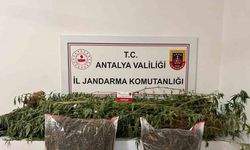 Alanya’da narkotik operasyonları