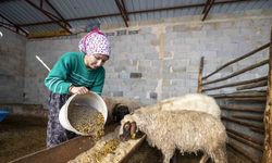 ’Hadi Gel Köyümüze Geri Dönelim’ projesi bir genci deha üretime kazandırdı