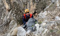 Burdur'da dağda mahsur kalan keçiyi AFAD kurtardı