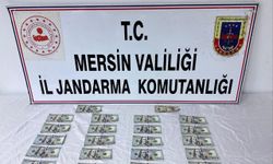 Mersin'de sahte dolar operasyonunda 1 şüpheli yakalandı