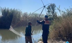 Tarsus'ta usulsüz balık avlayan 3 kişiye 14 bin lira ceza