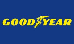 Goodyear ve TNO’dan Kaza Önleyici AEB Sistemi