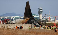 Jeju Air Kazasında Motorlarda Kuş Tüyleri Bulundu