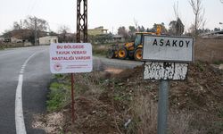 Hatay'da kuş gribi görülen mahalle karantinaya alındı