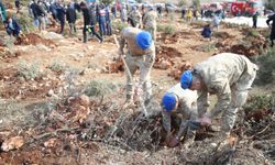 Kahramanmaraş'ta depremde hayatını kaybedenlerin isimleri fidanlarda yaşatılacak