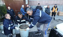 Antalya Otobüs Terminali’nde 300 kilogram midyeye el konuldu