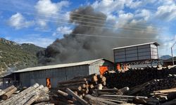 Burdur'da fabrikada çıkan yangına müdahale ediliyor