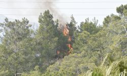 Antalya'da ormanlık alanda çıkan yangın kontrol altına alındı