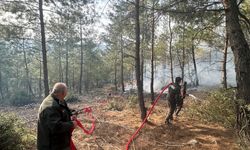 Osmaniye'de çıkan örtü yangını kontrol altına alındı