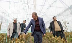 Başkan Seçer, zirai dondan etkilenen çiftçilerle bira araya geldi
