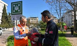 Muratpaşa’da kapsamlı afet tatbikatı