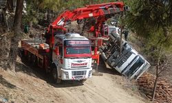 Tomruk yüklü kamyon devrildi sürücü yaralandı