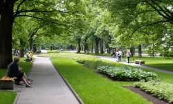 Kavlaklı Park ve Sosyal Alan Yapım İşi