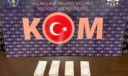 Antalya'da 2 orman muhafaza memuru rüşvet aldıkları iddiasıyla tutuklandı