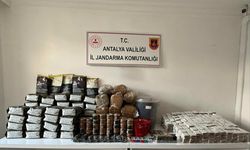 Elmalı'da kaçakçılık operasyonunda 1 şüpheli yakalandı