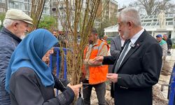 Isparta'da 3 yılda 180 bin meyve fidanı dağıtıldı