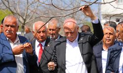 65 İlde Meyve Bahçeleri Don Felaketinden Etkilendi
