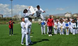 Afşin’de 19 Mayıs Atatürk'ü Anma, Gençlik ve Spor Bayramı Kutlandı