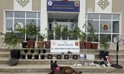Adana'da evlerinde iklimlendirme sistemiyle kenevir yetiştiren 4 şüpheli yakalandı