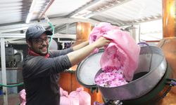 Burdur'daki göl manzaralı gül hasadına ilgi artıyor