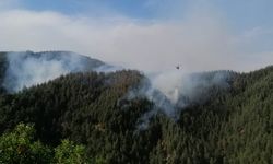 Kahramanmaraş'ta Çıkan Orman Yangınına Müdahale Ediliyor