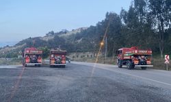 Hatay'da çıkan orman yangını kontrol altına alındı