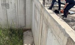 Hatay'da mahsur kalan kedi ve köpek itfaiye ekiplerince kurtarıldı