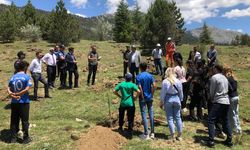 Isparta'da Dünya Tütünsüz Günü'ne dikkat çekmek için ağaç dikildi
