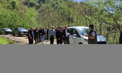 Samsun'da kestane zararlısı ile mücadele için doğaya faydalı böcek salındı