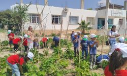 Silifke'de ilkokul öğrencilerinden Tarım Üretim ve Fen Okuluna ziyaret