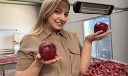 Elma üreticisi genç çiftçi ürünlerini kurutarak katma değerli hale getirecek