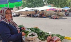 5 çocuk annesi, asma yaprağı satarak aile ekonomisine destek oluyor