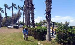 Akdeniz’de park ve bahçelere yaz bakımı