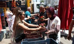 Antalya Büyükşehir’den annelere 25 bin çiçek