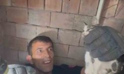 Bina boşluğuna düşen yavru kedi itfaiye ekiplerince kurtarıldı
