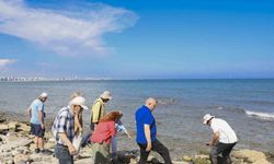 Mersin’de ’Deniz ve Kıyı Yaşamı İçin Vatandaş Bilimi Etkinliği’ yapıldı