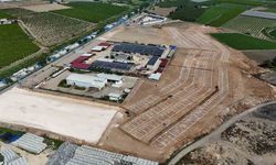 Tarsus’ta kurbanlık hayvan satışları tek alanda yapılacak