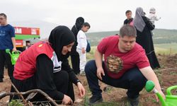 “Büyükşehir’den Engelsiz Orman”