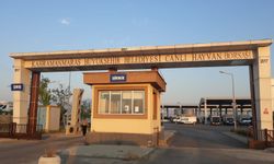 Kurbanlık Hayvan Satış Fiyatları Belirlendi