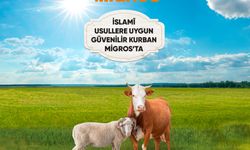 İslami Usullere Uygun Güvenilir Kurban Ücretsiz Kasaplık Hizmeti İle Migros’ta