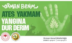 OGM’den kritik uyarı: Sıcaklık Artışı Orman Yangınlarını Tetikleyebilir