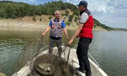 Onikişubat’ta Yasak Av Araçlarına El Konuldu