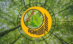 Orman Genel Müdürlüğü Daimi ve Geçici İşçi Alacak