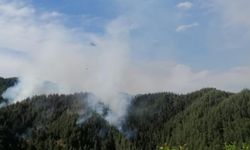 Orman Yangını Sürüyor: Ekipler 5 Helikopter ve 110 Personelle Müdahale Ediyor