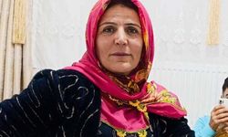 Tarlada Çalışırken Fenalaşan Kadın Hayatını Kaybetti