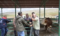 Afşin’de Kurbanlıklar Pazarda Yerini Aldı